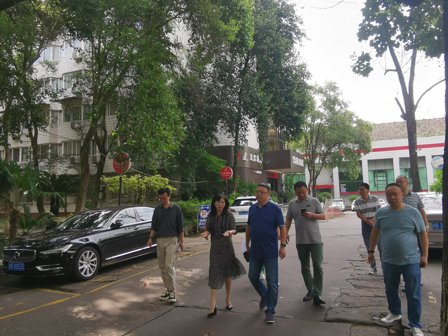集团党委委员、副总经理倪丹带队检查资产公司管辖资产_副本