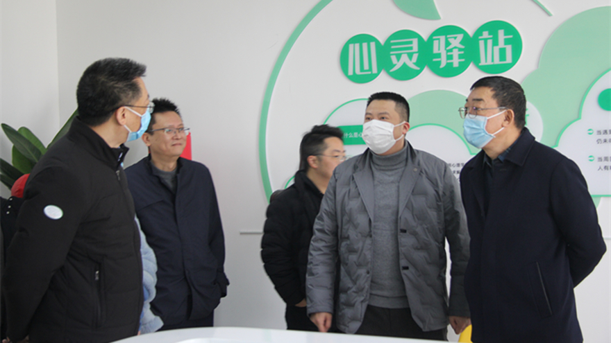 集团领导调研绵实股份_副本