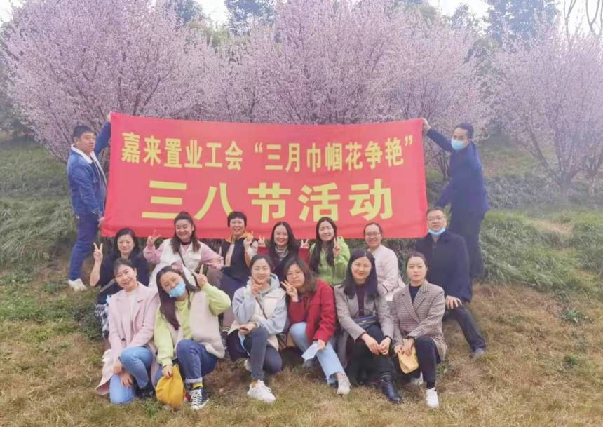 置业 置业