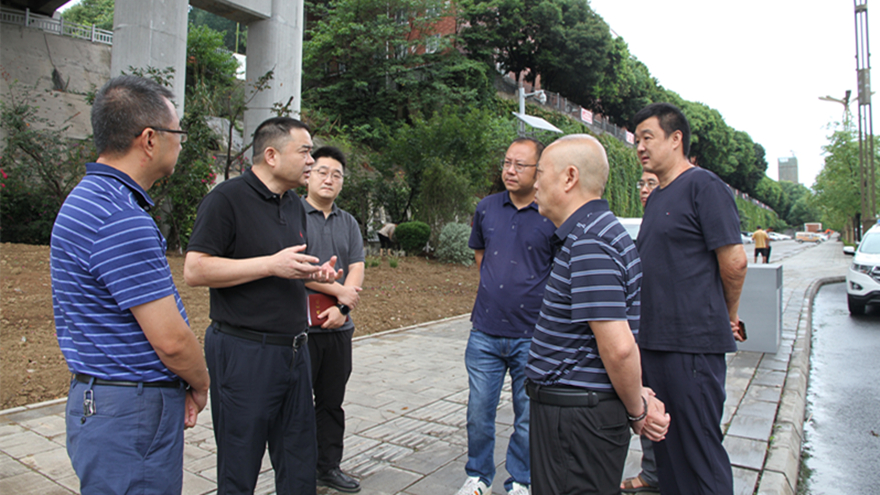 肖董巡察剑南路改造一期 肖董巡察剑南路改造一期