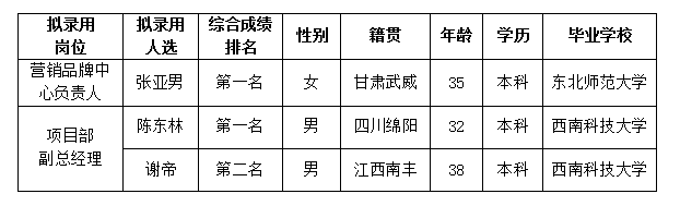 置地内部竞聘6.14 置地内部竞聘6.14